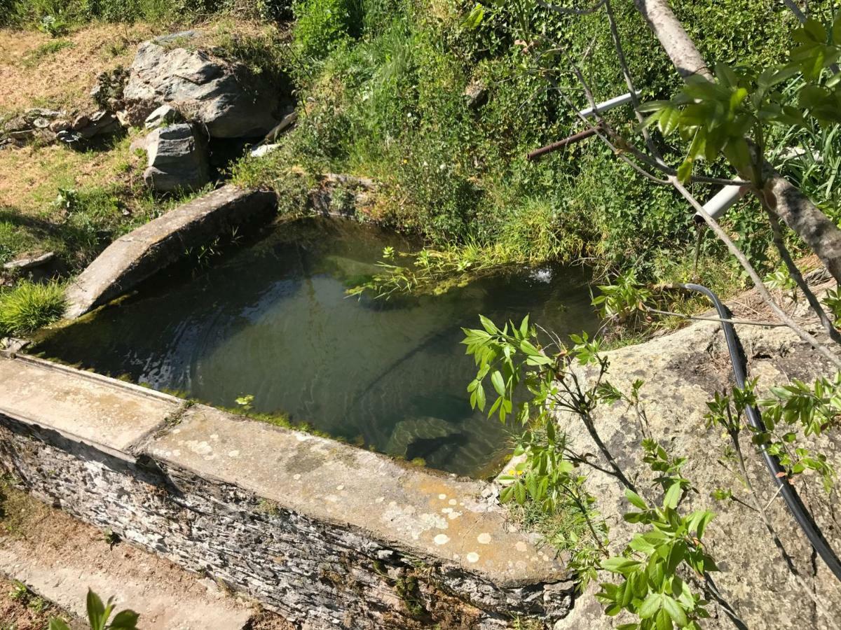 Maison De Charme Corse Sauvage Pietra-di-Verde المظهر الخارجي الصورة