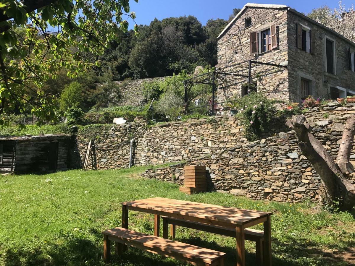 Maison De Charme Corse Sauvage Pietra-di-Verde المظهر الخارجي الصورة